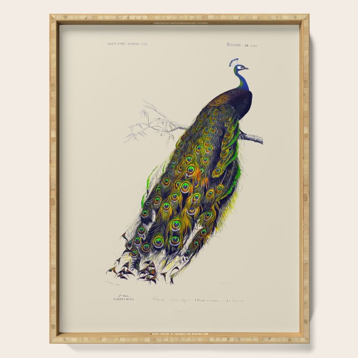 Vintage Peacock Serving Tray Gallery Image 1