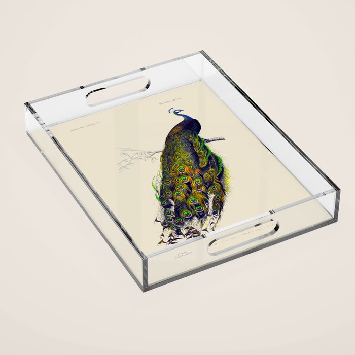 Vintage Peacock Acrylic Tray Gallery Image 1