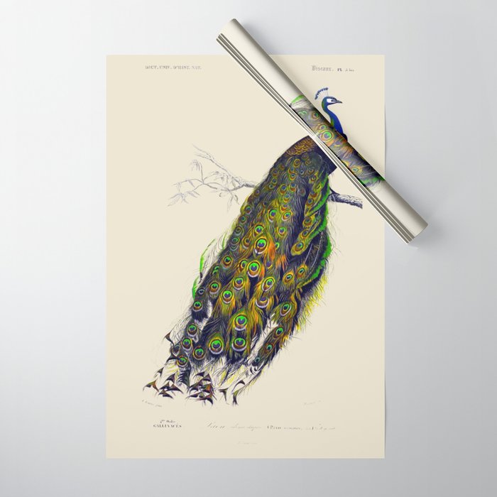 Vintage Peacock Wrapping Paper Gallery Image 1