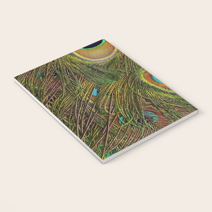 	peacock feathers Notebook Gallery Image 3