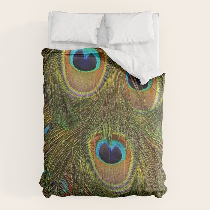 	peacock feathers Comforter Gallery Image 6