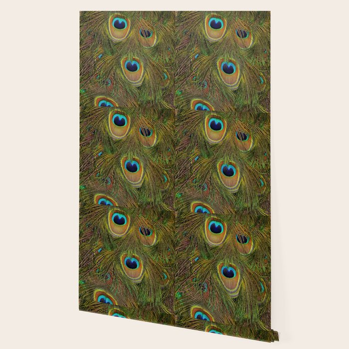 	peacock feathers Wallpaper Gallery Image 2