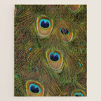 	peacock feathers Jigsaw Puzzle Gallery Image 1