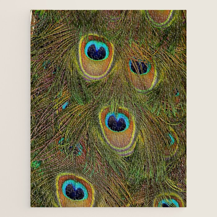 	peacock feathers Jigsaw Puzzle Gallery Image 1