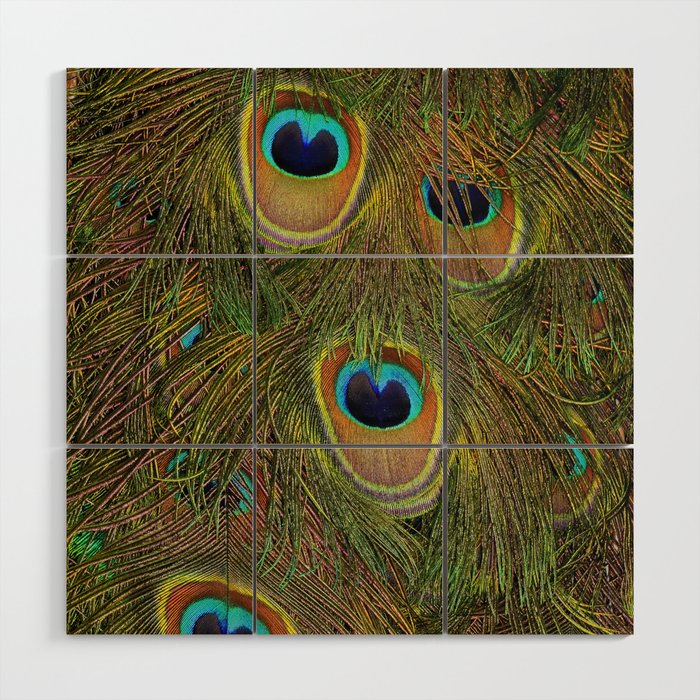 	peacock feathers Wood Wall Art Gallery Image 1