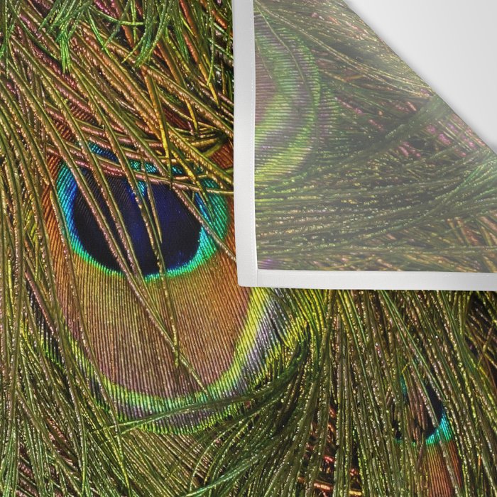 	peacock feathers Wall Tapestry Gallery Image 3