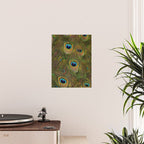 	peacock feathers Poster Gallery Image 2