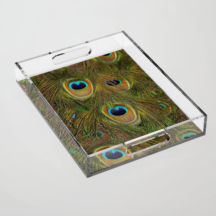 	peacock feathers Acrylic Tray Gallery Image 1