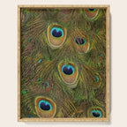 	peacock feathers Serving Tray Gallery Image 1
