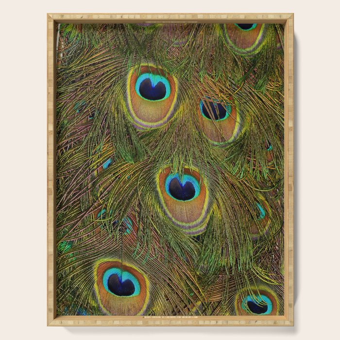 	peacock feathers Serving Tray Gallery Image 1
