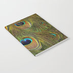 	peacock feathers Notebook Gallery Image 2