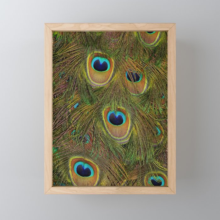 	peacock feathers Mini Art Print Gallery Image 1