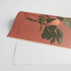 Oranges 4 Wrapping Paper Gallery Image 2