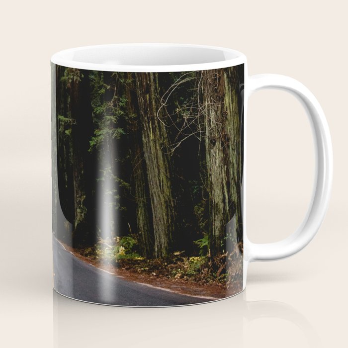 The Road to Wisdom - Nature Photography Coffee Mug Gallery Image 1
