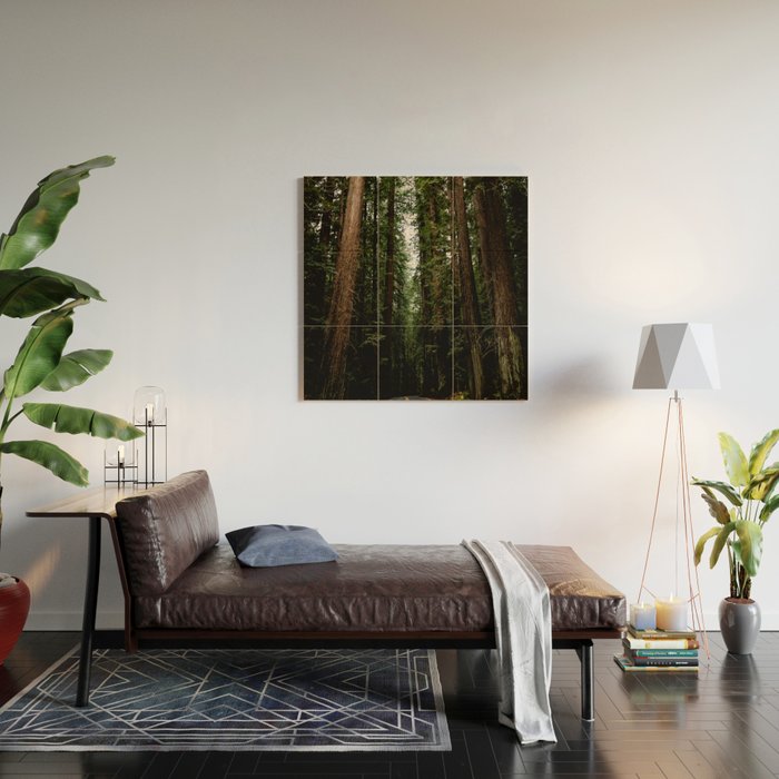 The Road to Wisdom - Nature Photography Wood Wall Art Gallery Image 2
