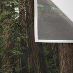 The Road to Wisdom - Nature Photography Wall Tapestry Gallery Image 3