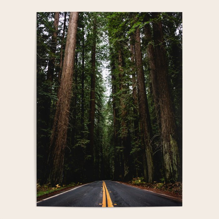 The Road to Wisdom - Nature Photography Poster Gallery Image 4