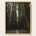The Road to Wisdom - Nature Photography Serving Tray Gallery Image 1