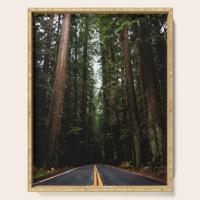 The Road to Wisdom - Nature Photography Serving Tray Gallery Image 1