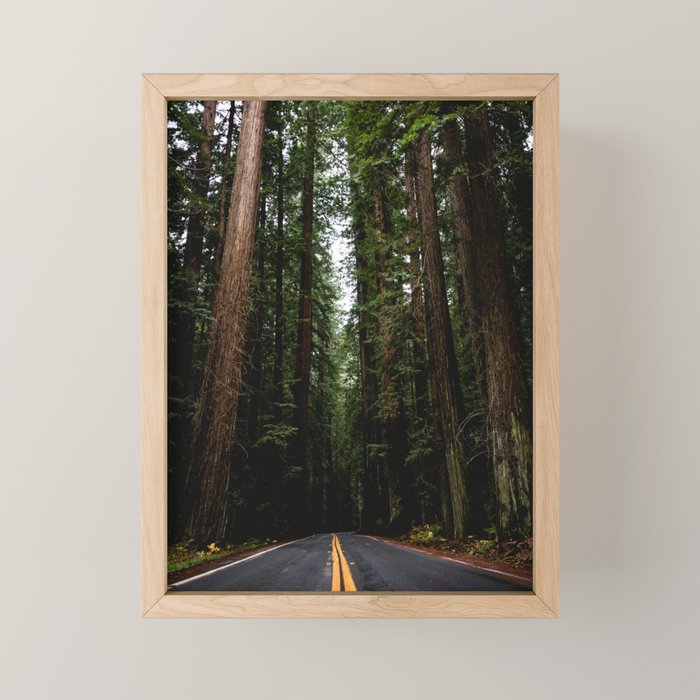 The Road to Wisdom - Nature Photography Mini Art Print Gallery Image 1