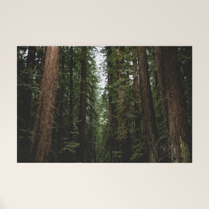 The Road to Wisdom - Nature Photography Welcome Mat Gallery Image 1