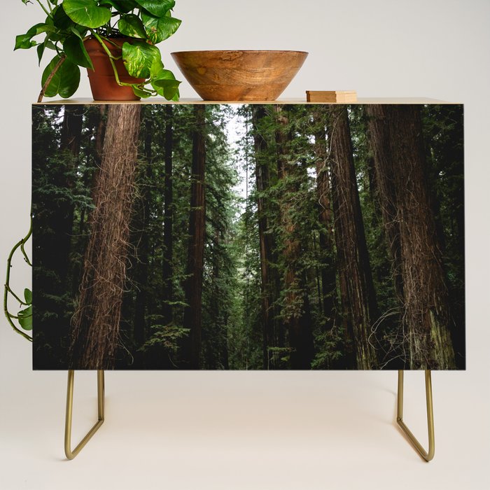 The Road to Wisdom - Nature Photography Credenza Gallery Image 1