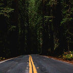 The Road to Wisdom - Nature Photography Coffee Mug Gallery Image 2