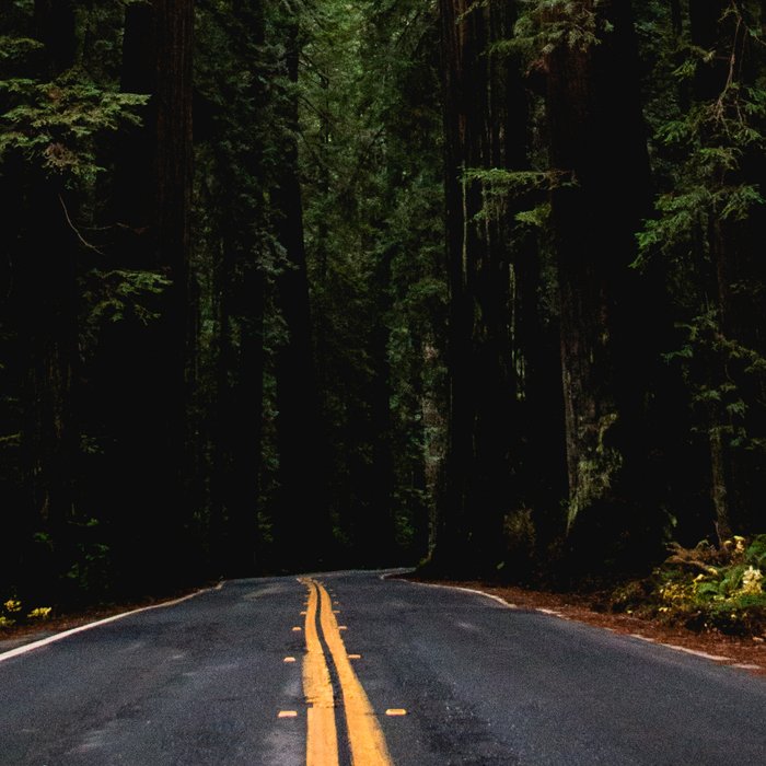 The Road to Wisdom - Nature Photography Coffee Mug Gallery Image 2