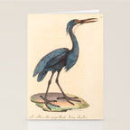 Great blue heron from "La Galerie de Oiseaux" ("Bird Gallery"), 1825 Stationery Card Gallery Image 2