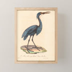 Great blue heron from "La Galerie de Oiseaux" ("Bird Gallery"), 1825 Mini Art Print Gallery Image 1