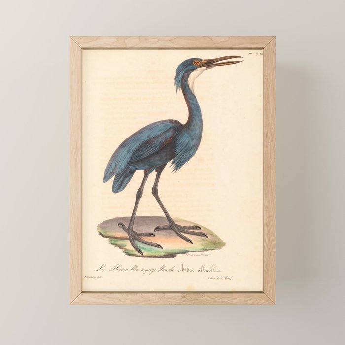 Great blue heron from "La Galerie de Oiseaux" ("Bird Gallery"), 1825 Mini Art Print Gallery Image 1