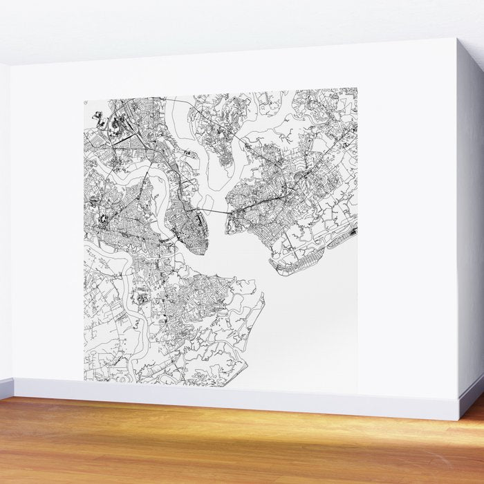 Charleston White Map Wall Mural Gallery Image 2