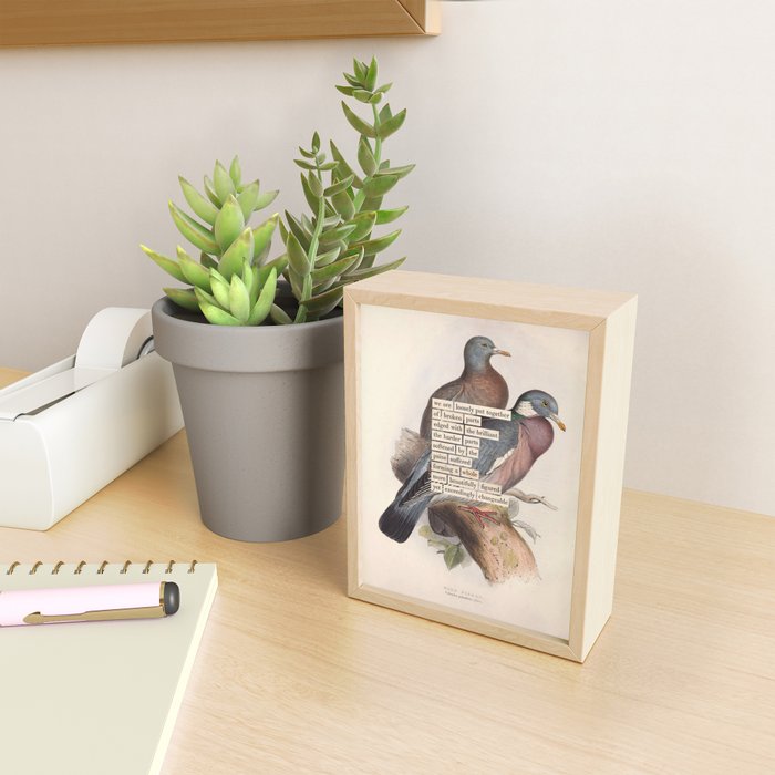 Bird Divinations: Wood Pigeon (about: almanacofbirds.org) Mini Art Print Gallery Image 2