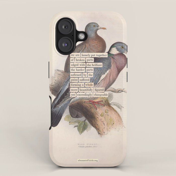 Bird Divinations: Wood Pigeon (about: almanacofbirds.org) iPhone Case Gallery Image 1