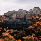 Zion Canyon through the Flora Coffee Mug Gallery Image 2