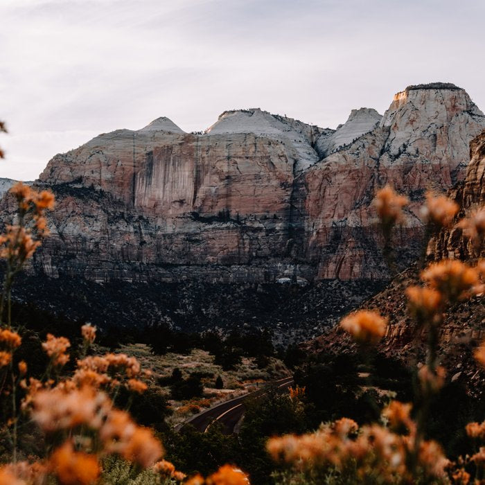 Zion Canyon through the Flora Coffee Mug Gallery Image 2