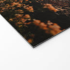 Zion Canyon through the Flora Welcome Mat Gallery Image 2