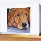 Golden Retriever Dog Portrait Wall Mural Gallery Image 2