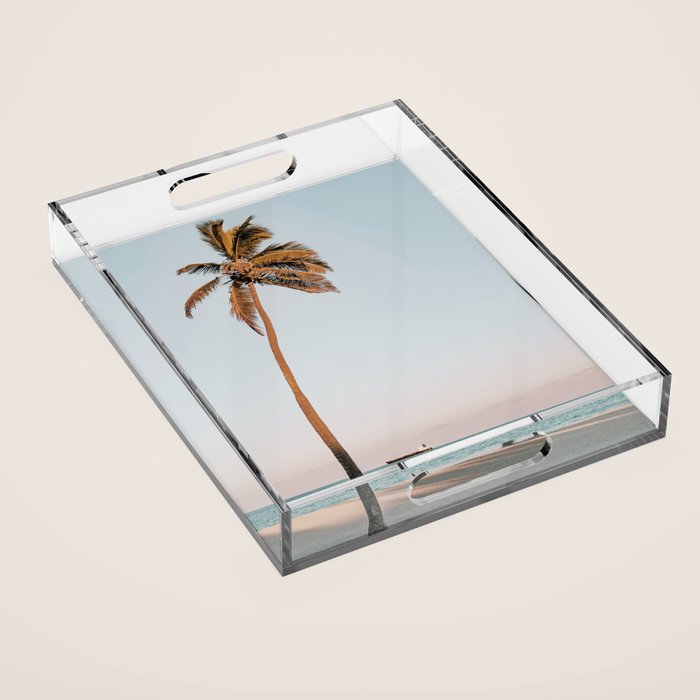 a palm tree vi - fort lauderdale florida Acrylic Tray Gallery Image 1
