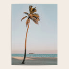 a palm tree vi - fort lauderdale florida Poster Gallery Image 4