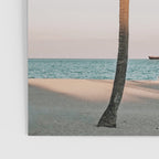 a palm tree vi - fort lauderdale florida Poster Gallery Image 3