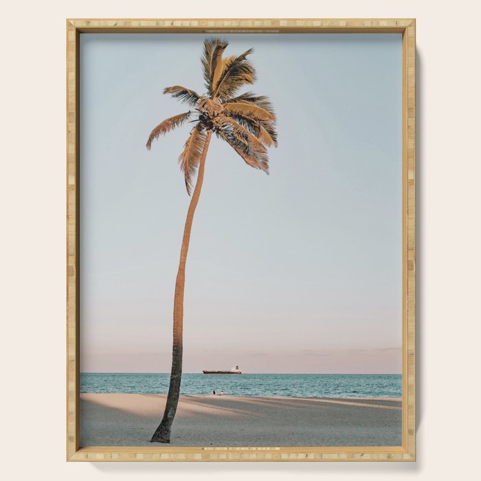 a palm tree vi - fort lauderdale florida Serving Tray Gallery Image 1