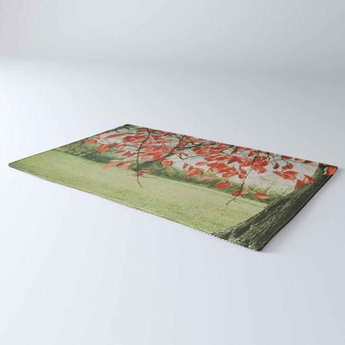 Red October Rug Gallery Image 3