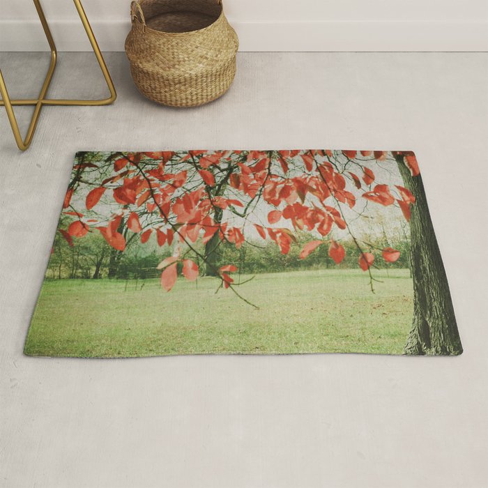 Red October Rug Gallery Image 1