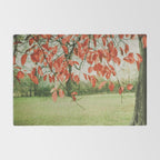 Red October Rug Gallery Image 2