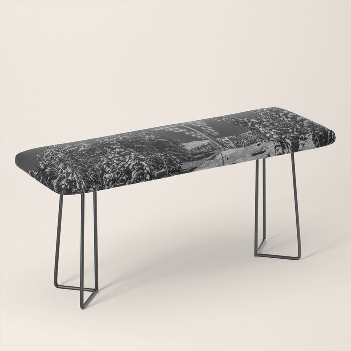 Winter ski slope chair lift amid frozen rime and ice of mountain woods beautiful landscape black and white photograph - photography - photographs Bench Gallery Image 1