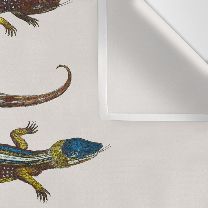 Albertus Seba Snakes And Lizards Blue Wall Tapestry Gallery Image 3