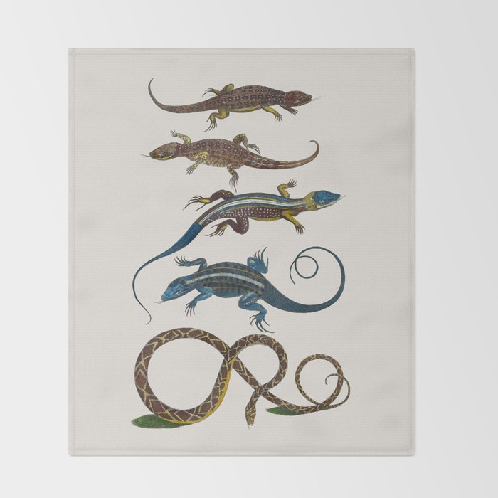 Albertus Seba Snakes And Lizards Blue Throw Blanket Gallery Image 2