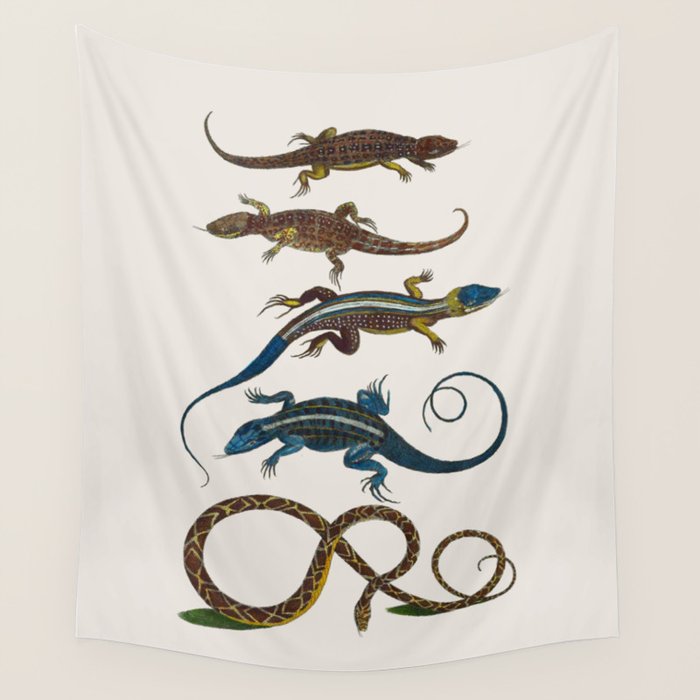 Albertus Seba Snakes And Lizards Blue Wall Tapestry Gallery Image 4
