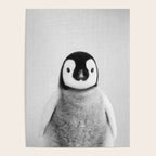 Baby Penguin - Black & White Poster Gallery Image 4
